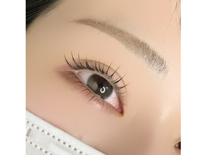 シファ(sifa)の写真