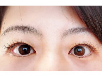 ブリリアントフェニックス(Brilliant Phoenix)/最高級セーブル120本