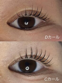 エーラッシュ(A-Lash)/CカールDカール比較