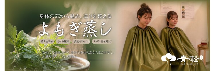 青松SPA~上野御徒町【足ツボ・整体・アロマ・よもぎ蒸し】【8月上旬 NEWOPEN(予定)】のサロンヘッダー