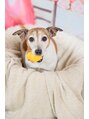 リスブラン 愛犬に癒されています♪ ペット自慢も是非お聞かせください!