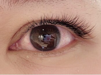 カラン 焼津店(CALIN)/シングルラッシュ120本♪