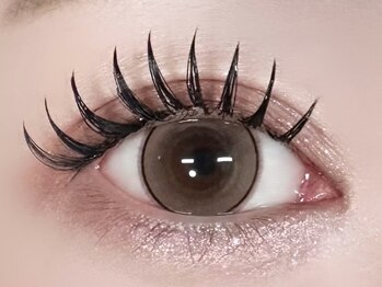 リブレ(Libre)/ダブルフラット80束(160本)