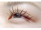 リッシュ(RICHE)の写真
