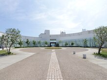 ロイヤル ボディ コンシャス(Royal Body Conscious)/外観