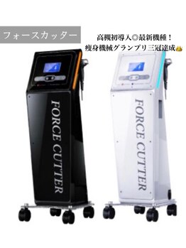 ボディベルム(BODY BELM)/フォースカッター