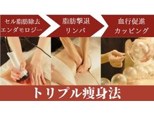 ツバキ(TSUBAKI)