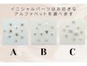 【定額2900円】耳つぼジュエリー/両耳10個