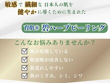 フロウ(FLOW)/碧ハーブピーリング