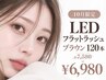 【10月限定】LEDロフラットラッシュブラウン120本¥6980