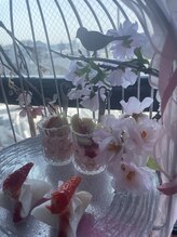 サクラ(Sakura)/渋谷でアフタヌーンティー♪♪