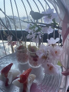 サクラ(Sakura)/渋谷でアフタヌーンティー♪♪