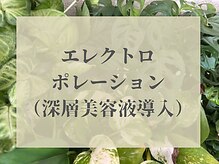 コハク(kohaku)/美容液深層導入イオン導入の20倍