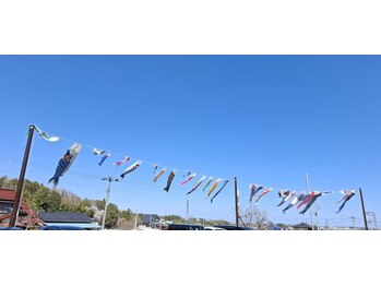 ナチュラリー/こいのぼりの季節かぁ～