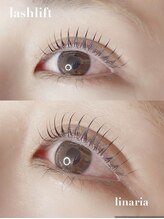 リナリア(linaria)/ラッシュリフト