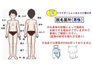 猫の手/【男性】脱毛箇所(全13か所)