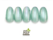 ピッピ 桜新町店(peep PEEP)/ミラーマグネットネイル-4