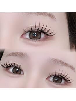 ハリス(HARIS)/フラットラッシュ140本