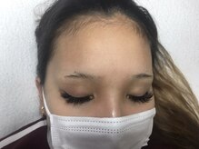 オランダエステティック(Holland Esthetics)/セーブル150/150本