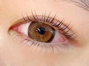 サクラブロウ 神戸三宮店(Sakura-blow)/まつげパーマ/パリジェンヌ/神戸