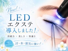 スウィートラッシュ 川口店(Sweet Lash)/★LEDエクステスタート★