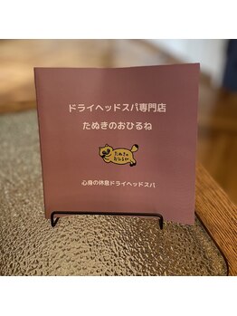 たぬきのおひるね/パンフレット