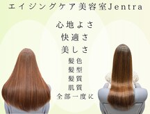 ジェントラ(Jentra)