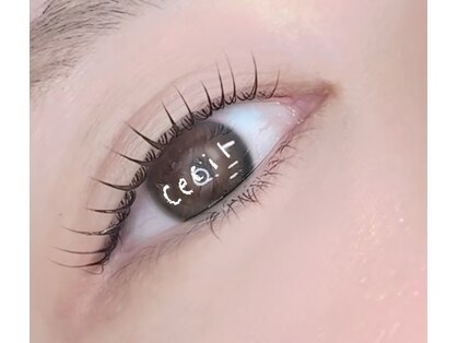 マツゲヤサンセシル(Cecil)の写真