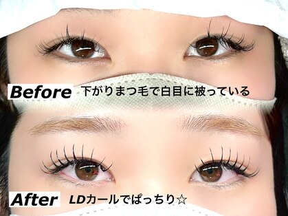 エイト(Eight)の写真