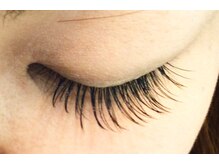 プリンセス バイ セイフティ プリンセス(PRINCESS)/フラットマットラッシュ 120本