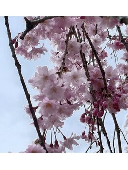 エイミーユア(Eimmy Yua)/春