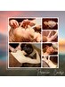 【全身美容◎最上級プラン】とことんお顔と身体★全部お悩み解決★¥24,200→