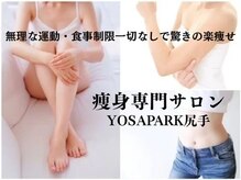 ヨサパーク ナナ リシェス(YOSA PARK nana Richesse)