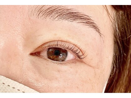 サクサク(sakusaku)の写真