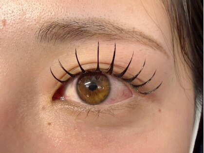 cocoLu eyelash&eyebrow【2月下旬　OPEN（予定）】の写真