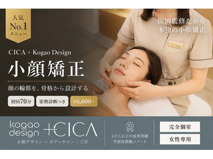 シカ(CICA)の写真
