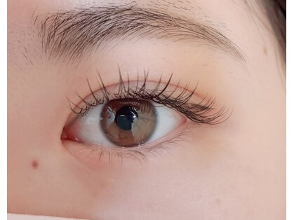 ロケラニ(Lokelani)の写真