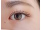ロケラニ(Lokelani)の写真