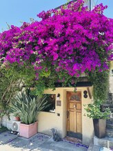 アマラ(Amarra)/お店外観