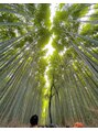 アリエス 最低月１で旅行します＾＾＠嵐山の竹林