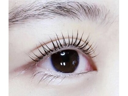 シト(Shito)の写真