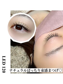 プチ(Petit.)/高持続◎LEDラッシュ