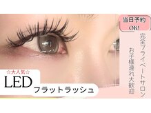 カシェット(cachette...)