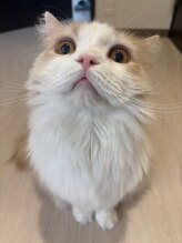 マカナイチマルサン(makana103)&nbsp;もんじろう くん