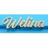 ウェリナ(welina)のお店ロゴ