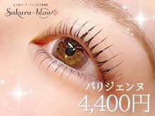 サクラブロウ 神戸三宮店(Sakura-blow)
