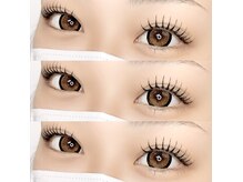 エックスオーラッシュ(XOXO LASH)/パリエク120本