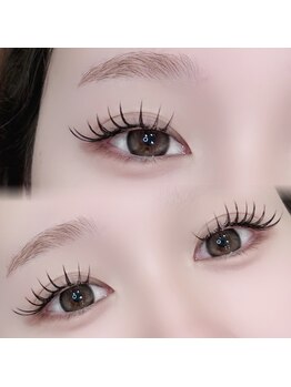 ハリス(HARIS)/フラットラッシュ140本