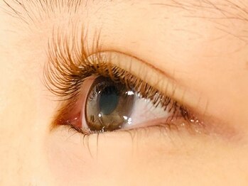 レッドビューティー(red beauty)/ brown