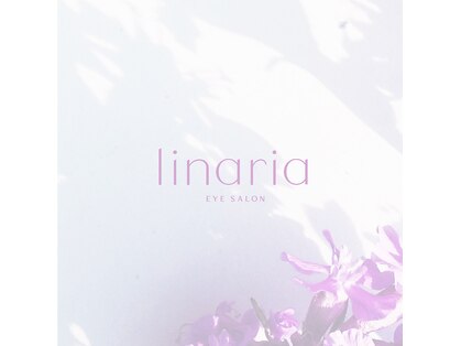 リナリア(linaria)の写真